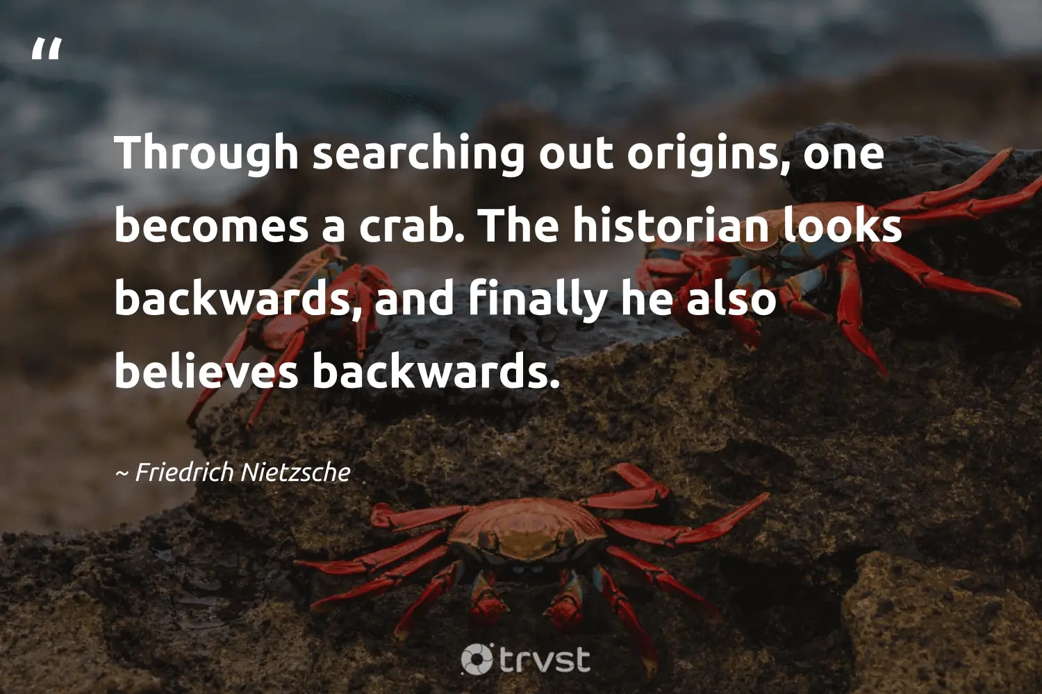 25 Crab Quotes Full Of Crustacean Wisdom
