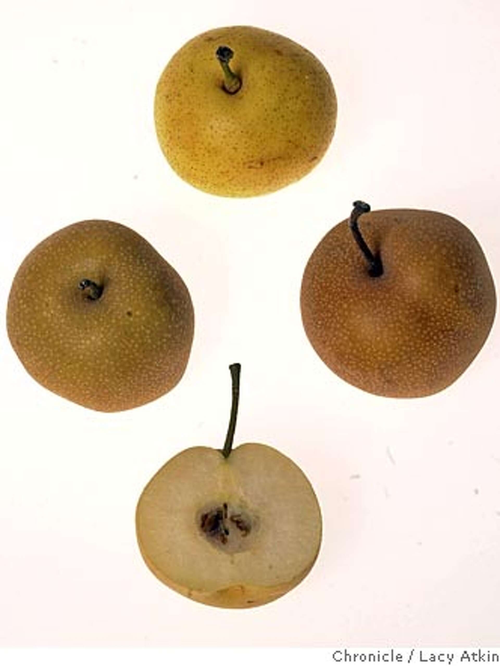 pear variety crossword clue pear variety crossword clue