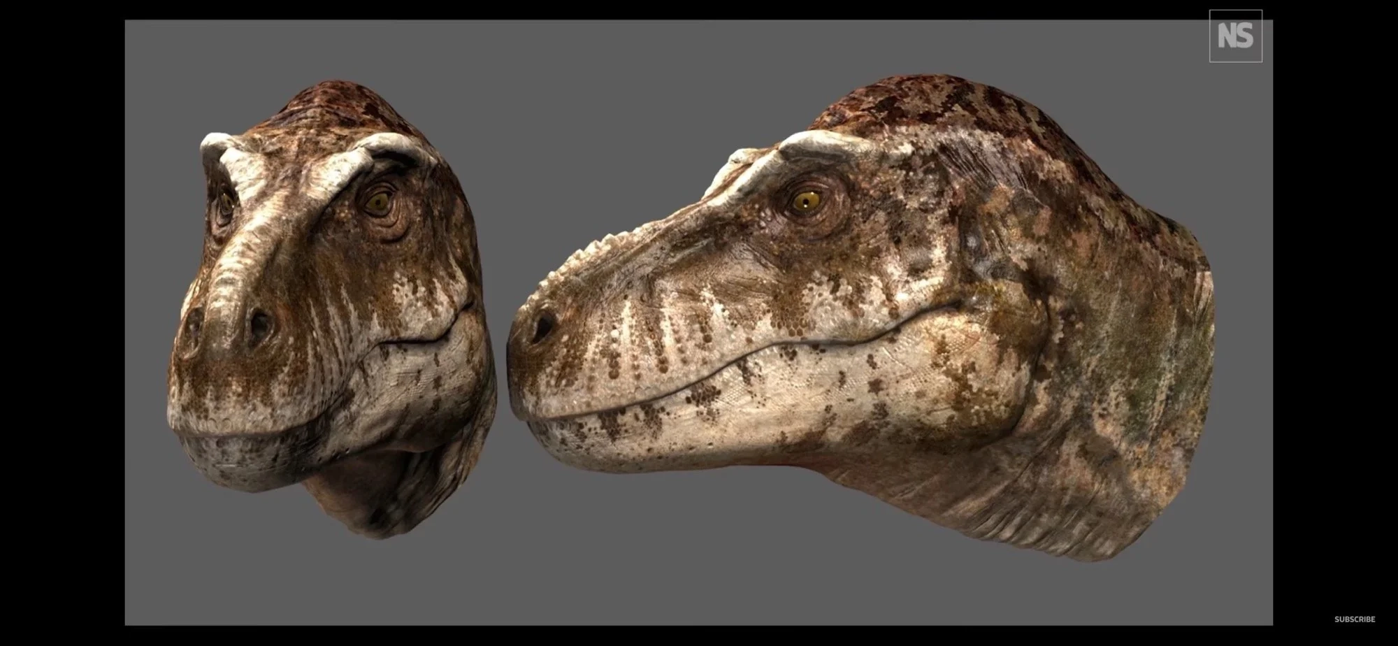 A Recent Paper Suggests T Rex Had An Intellect That Rivaled That Of Modern Baboons R Naturewasmetal