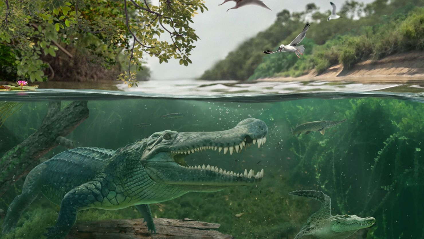 An Ancient terror Crocodile Became A Dinosaur eating Giant Scientists Say They Now Know Why CNN