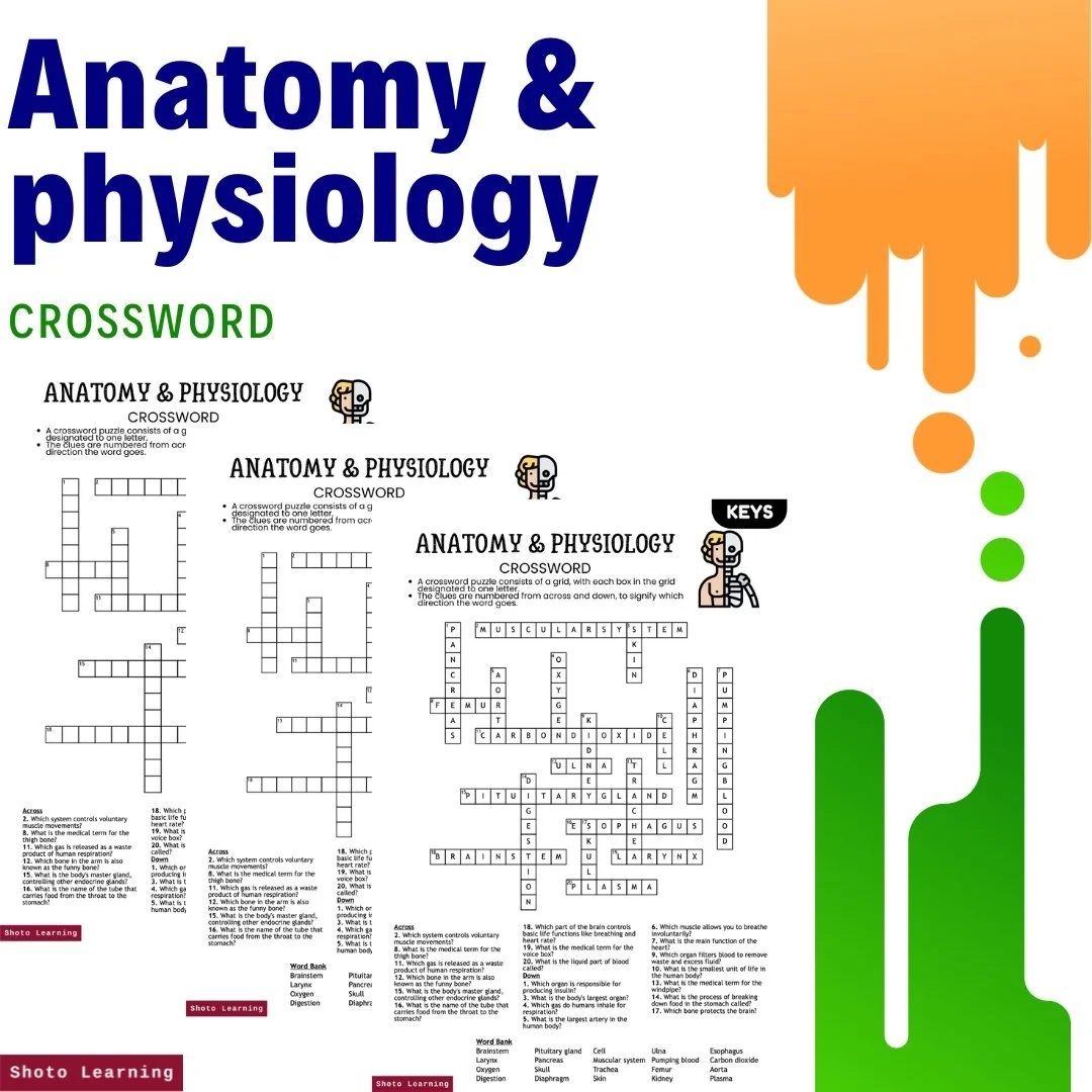 bone in the arm crossword clue bone in the arm crossword clue