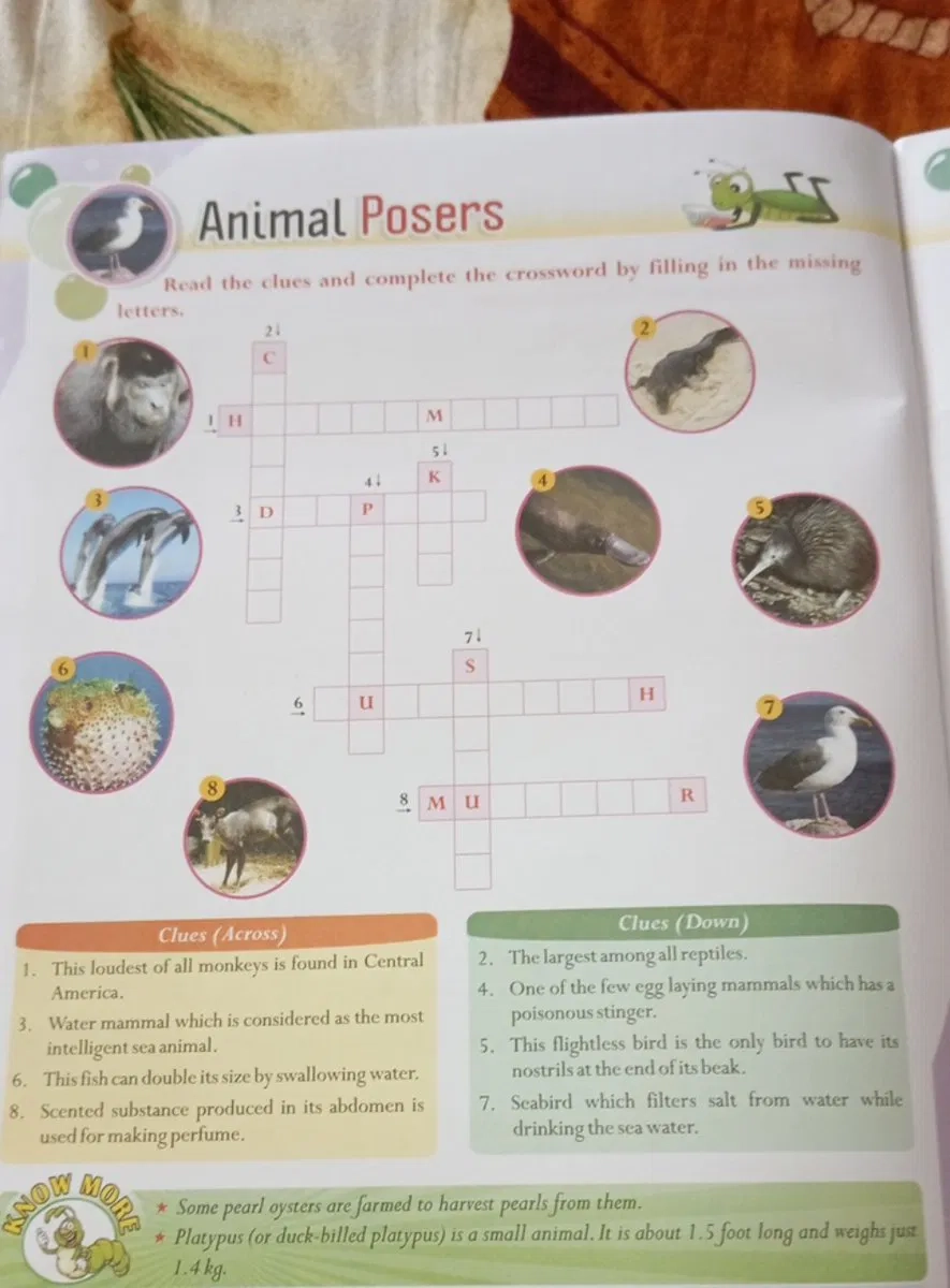 Animal Posers Read The Clues And Complete The Crossword By Filling In The 