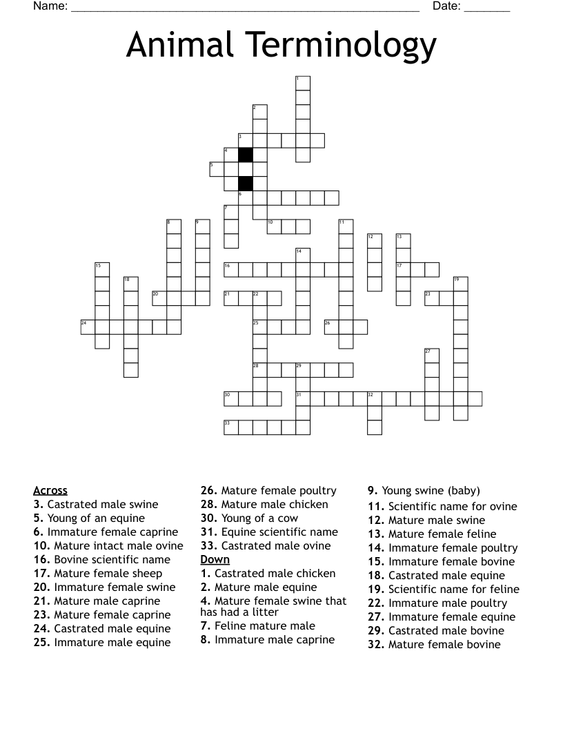 Animal Terminology Crossword WordMint