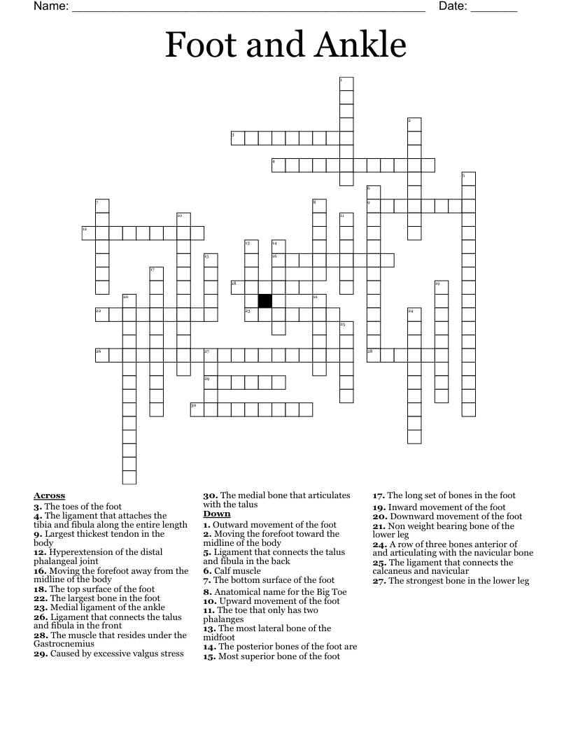 Ankle Crossword WordMint Ankle Crossword WordMint