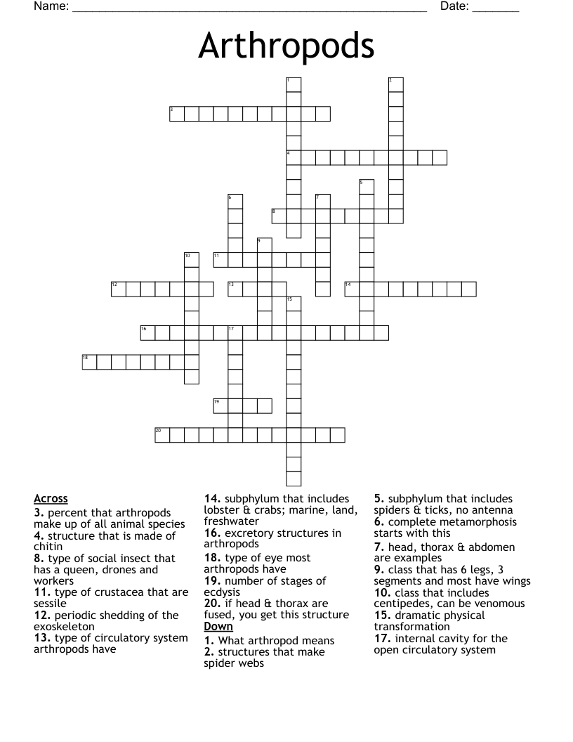 Arthropods Crossword WordMint
