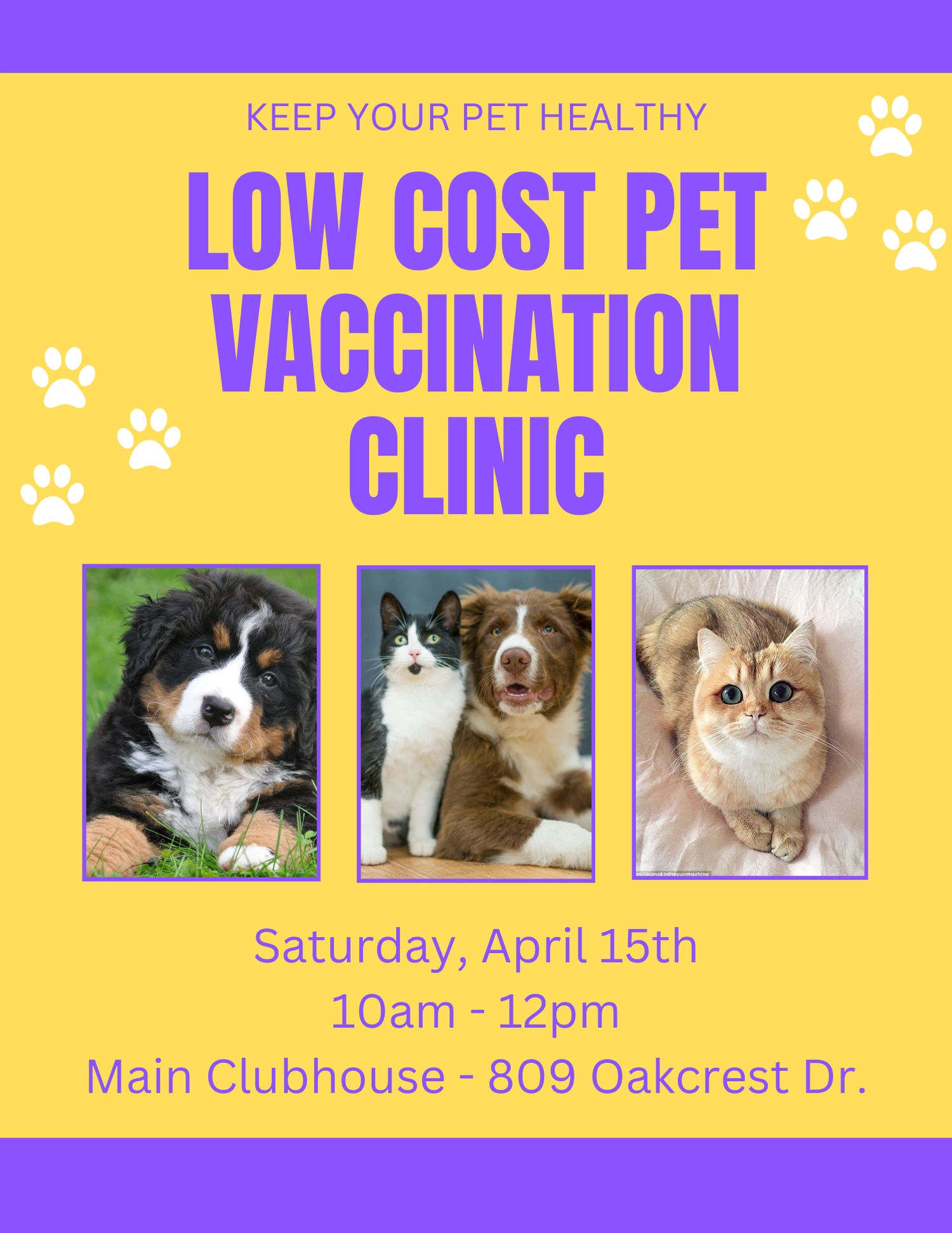 Aspca Low Cost Vaccinations Cat Parker Animal And Bird Clinic Low Cost Vaccinations Cost Aspca