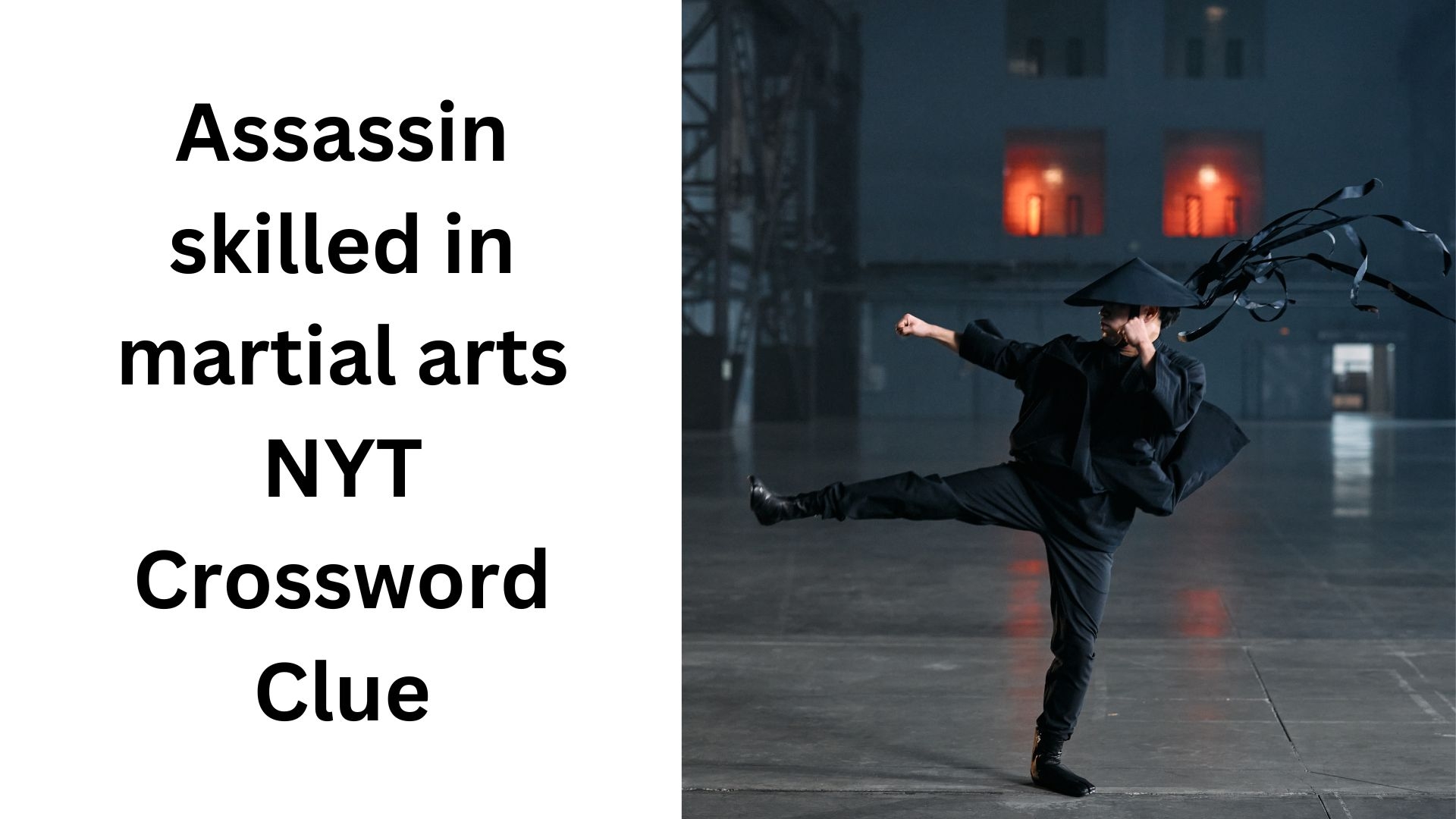 Assassin Skilled In Martial Arts NYT Crossword Clue December 11 2024