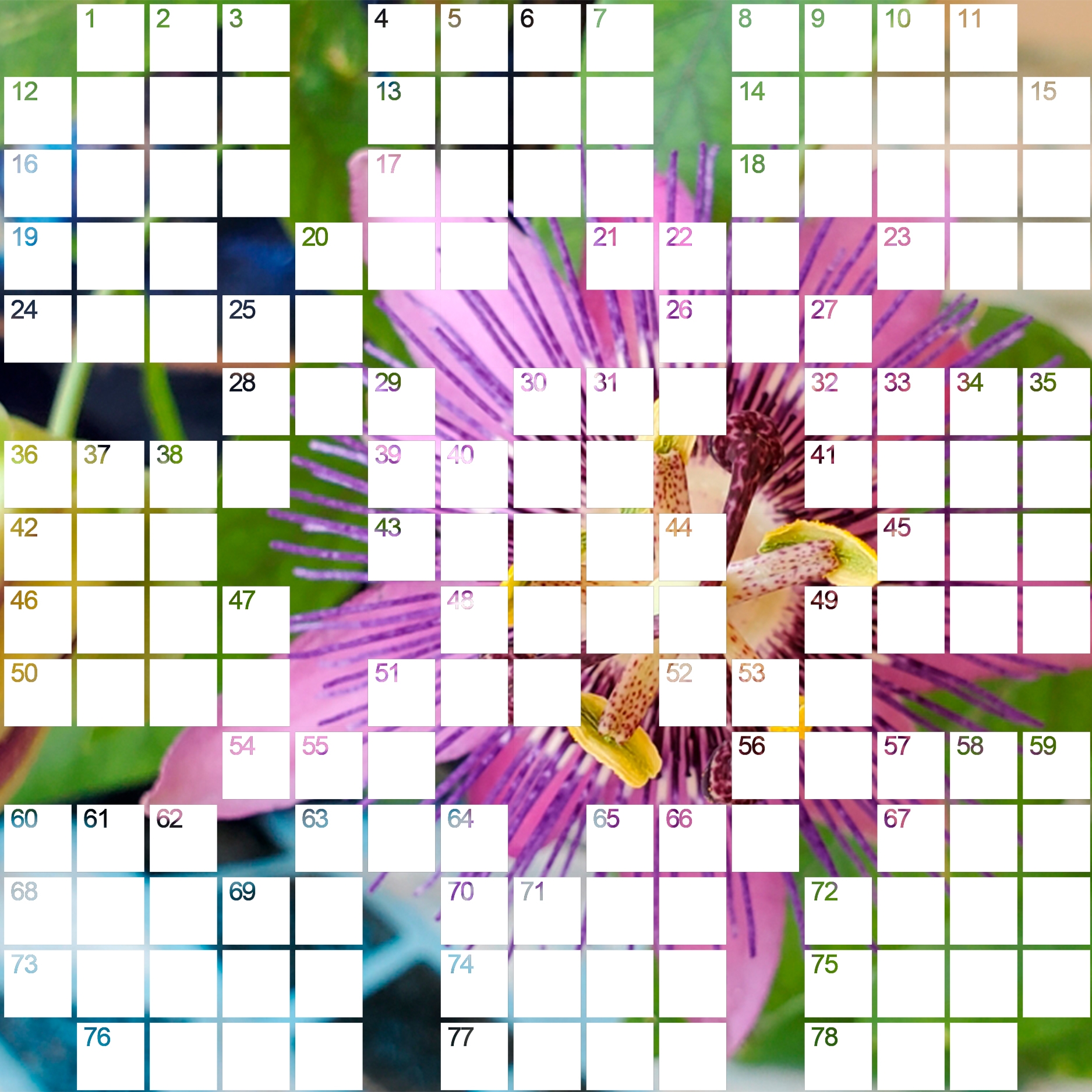 August 2025 Crossword The Castle Pines Connection