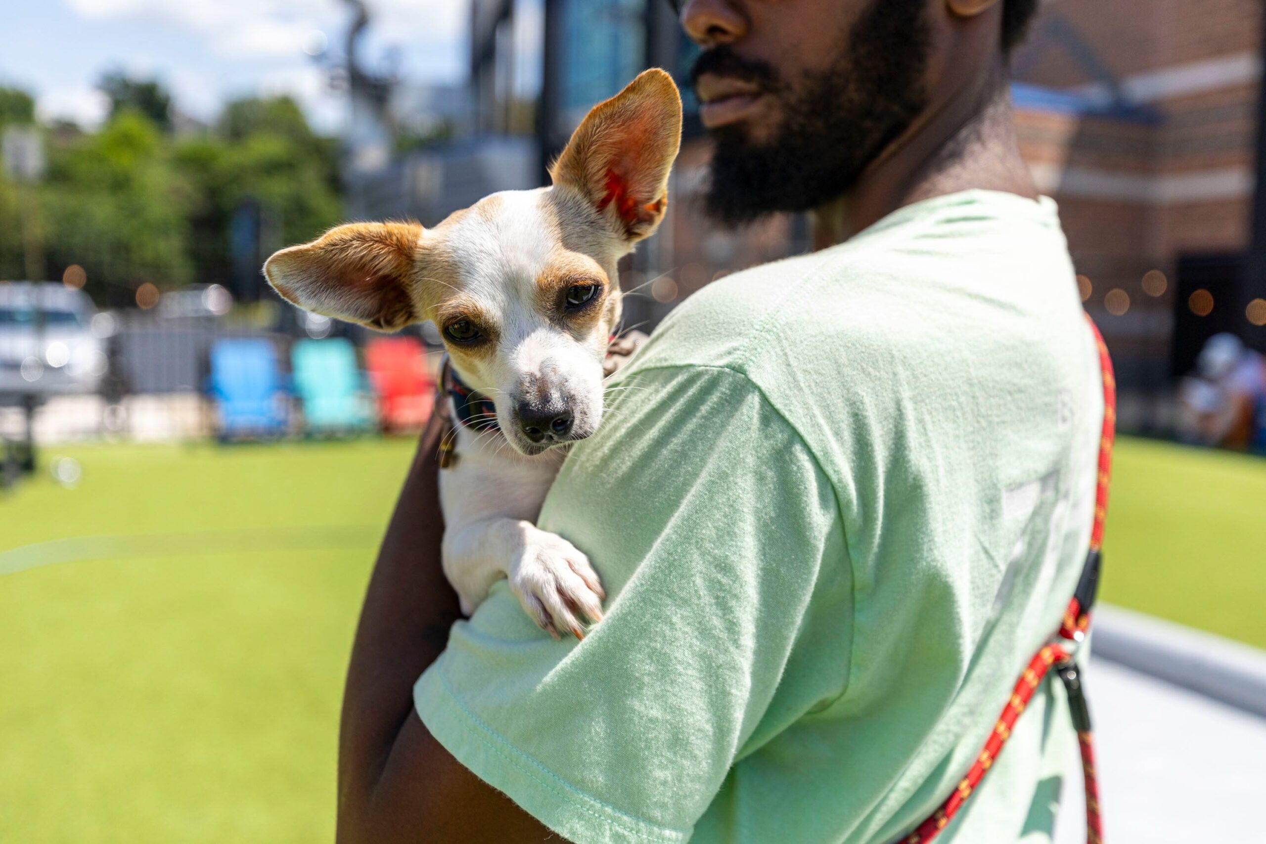 Bark Social In Manayunk Lets Dogs And Their Owners Meet New People And Pooches