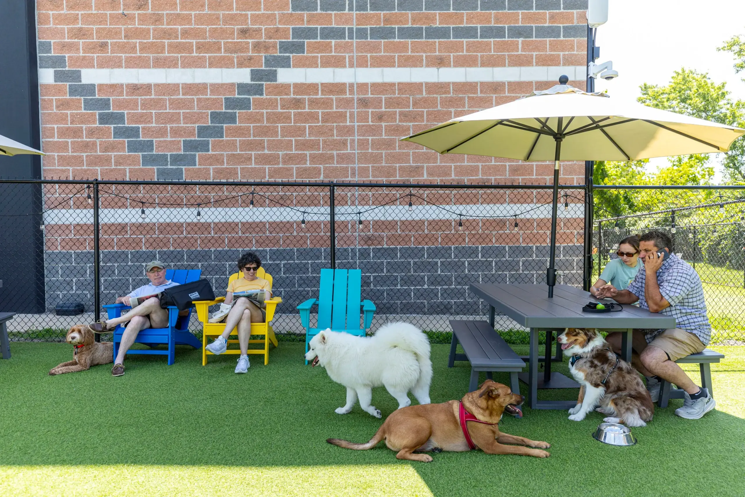 Bark Social In Manayunk Lets Dogs And Their Owners Meet New People And Pooches