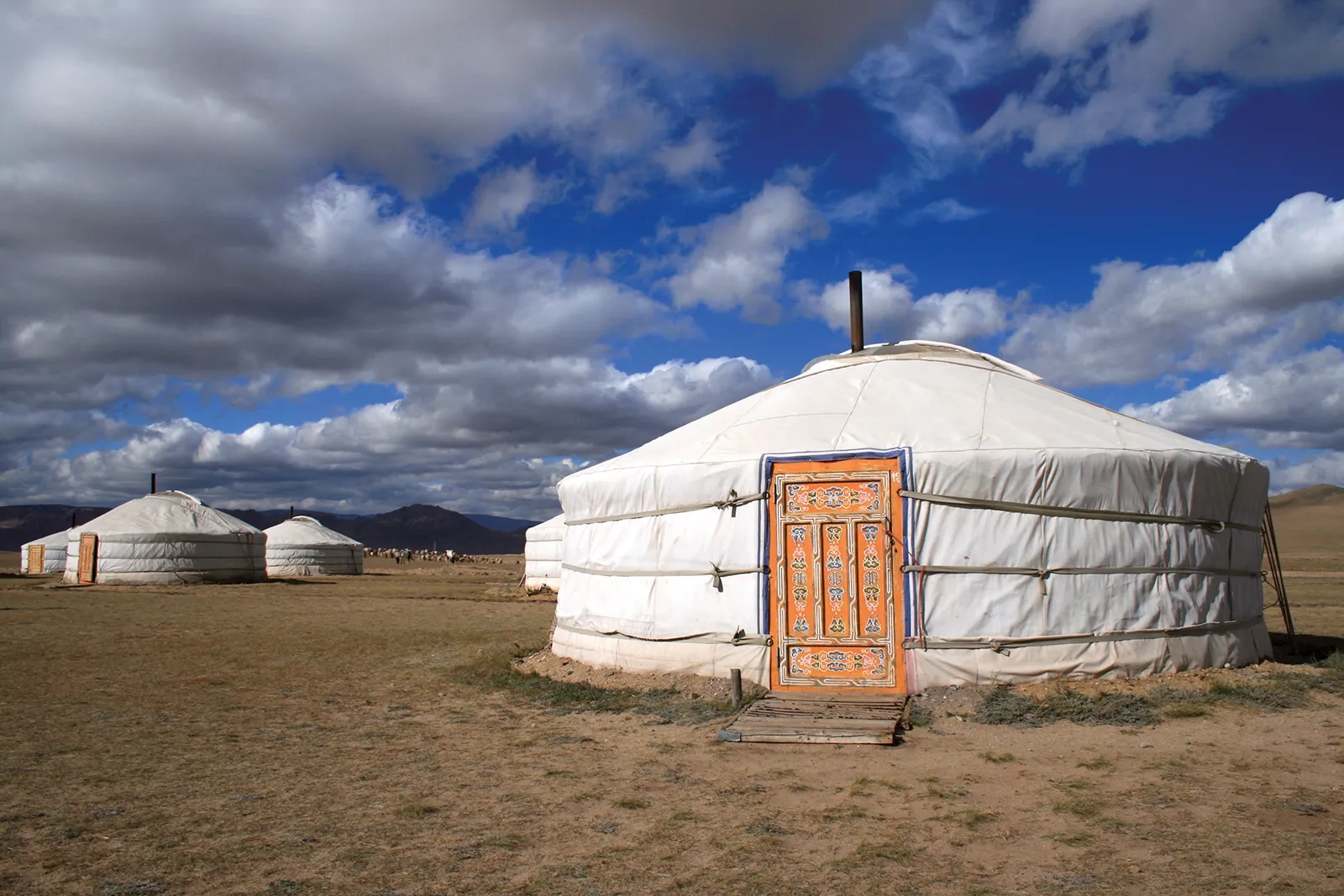 nomadic dwellings crossword clue 5 letters nomadic dwellings crossword clue 5 letters