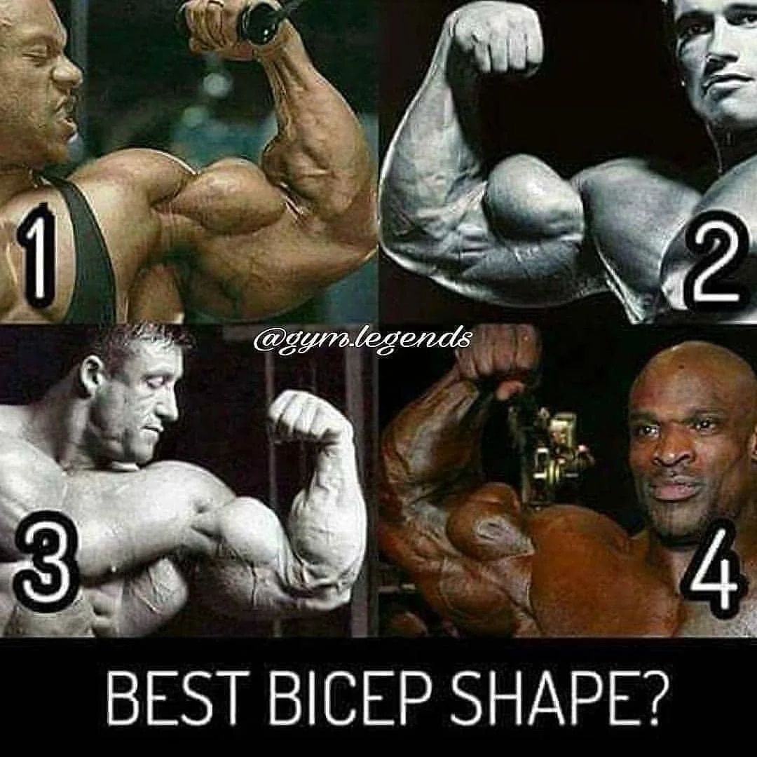long biceps vs short biceps