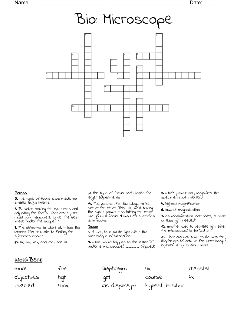 Bio Microscope Crossword WordMint