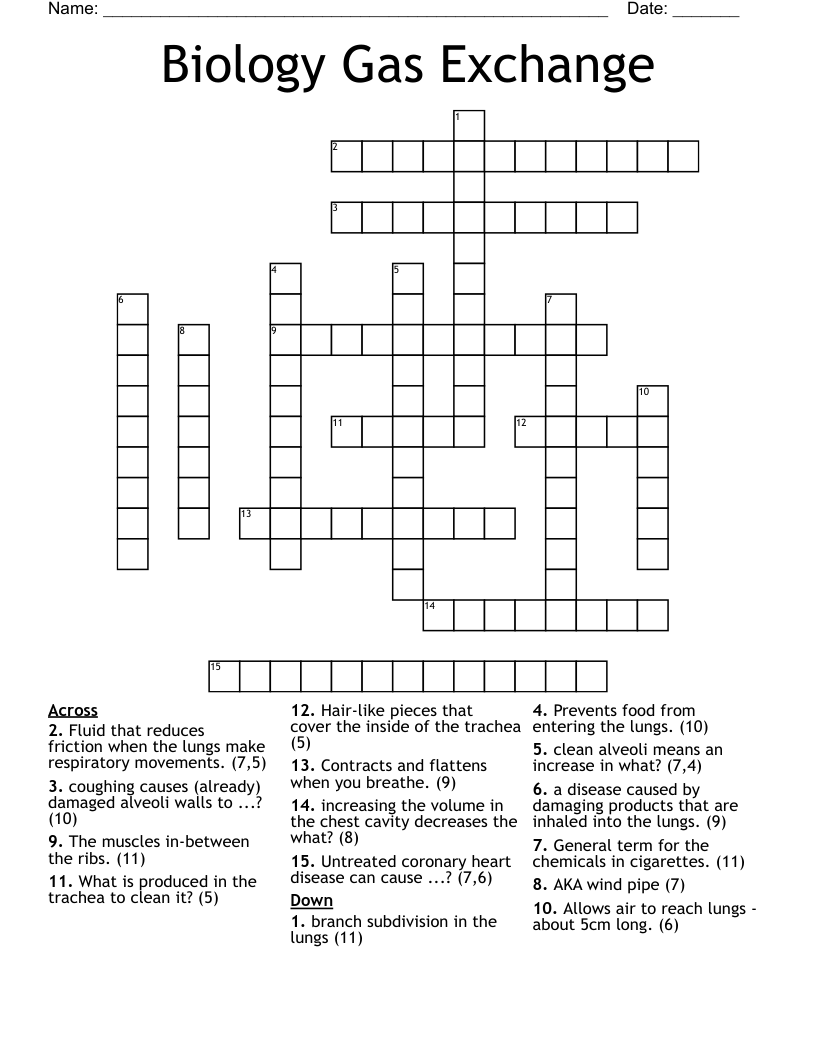 Biology Gas Exchange Crossword WordMint Biology Gas Exchange Crossword WordMint