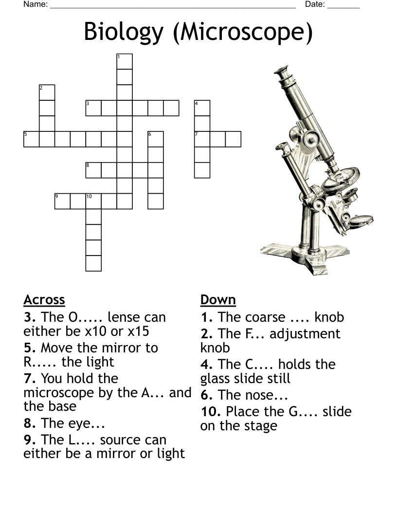 Biology Microscope Crossword WordMint