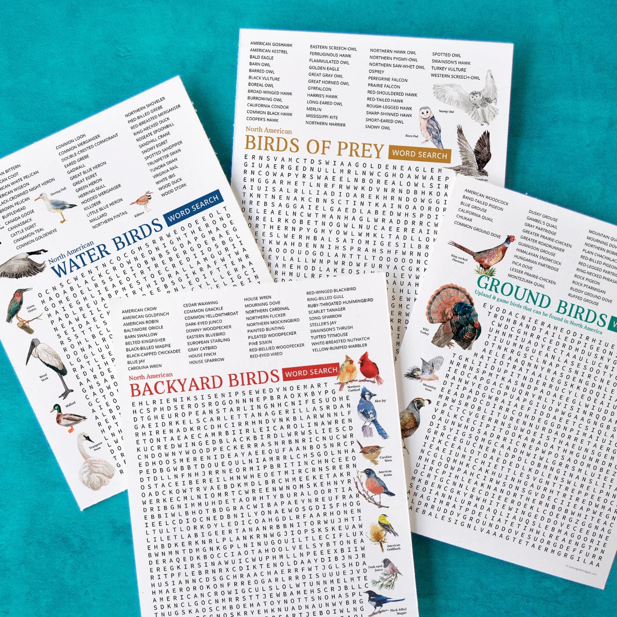 Bird Word Search Bundle Greengate Images