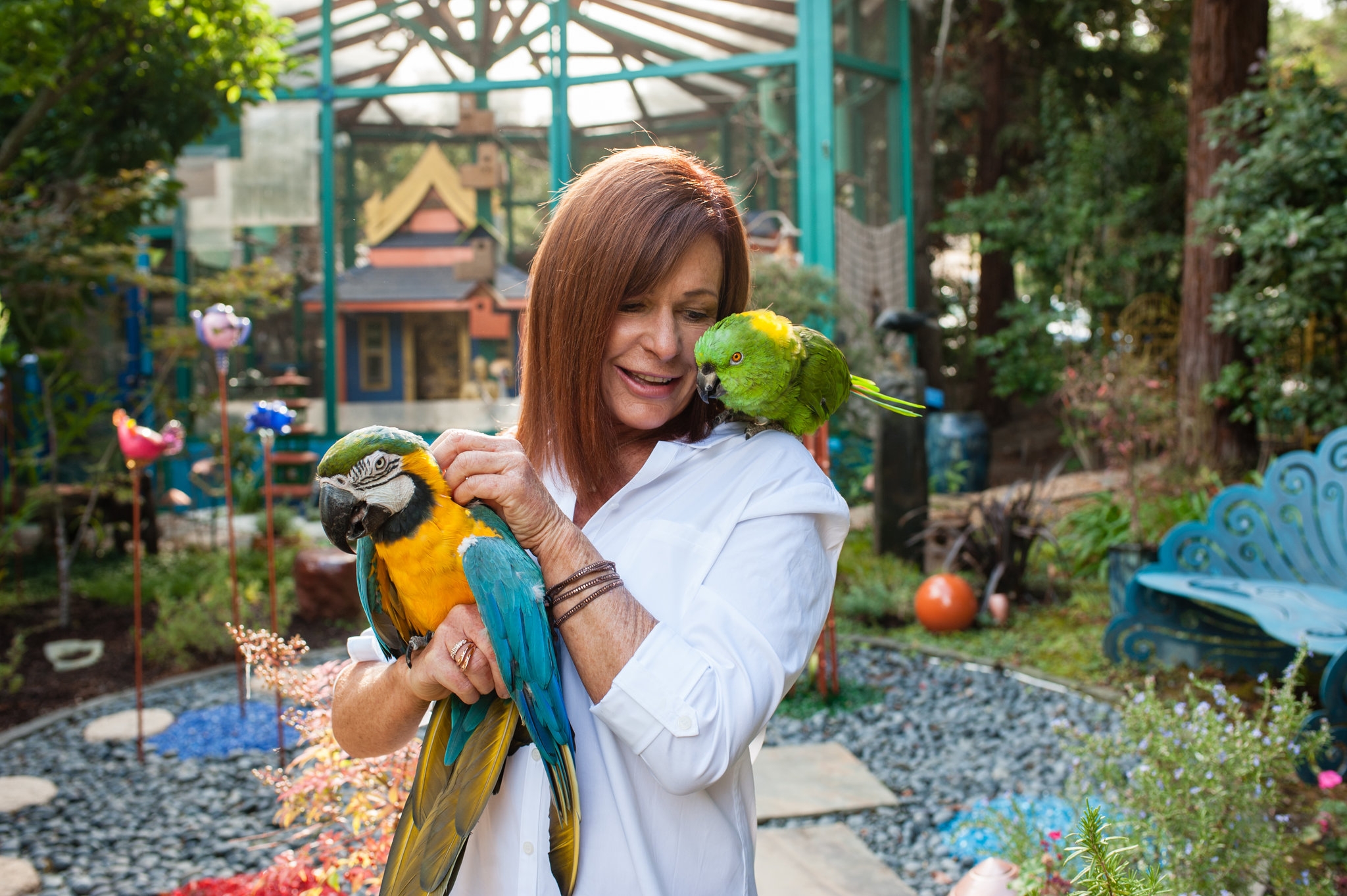 songbird crossword clue