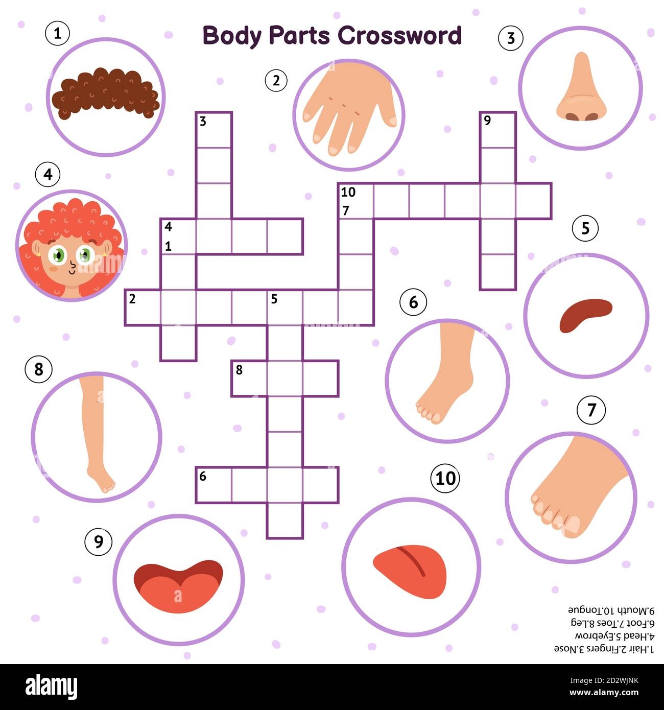 Body Parts Crossword With Head Hair Fingers Nose Eyebrow Foot Toes Leg Mouth Tongue Stock Vector Image Art Alamy