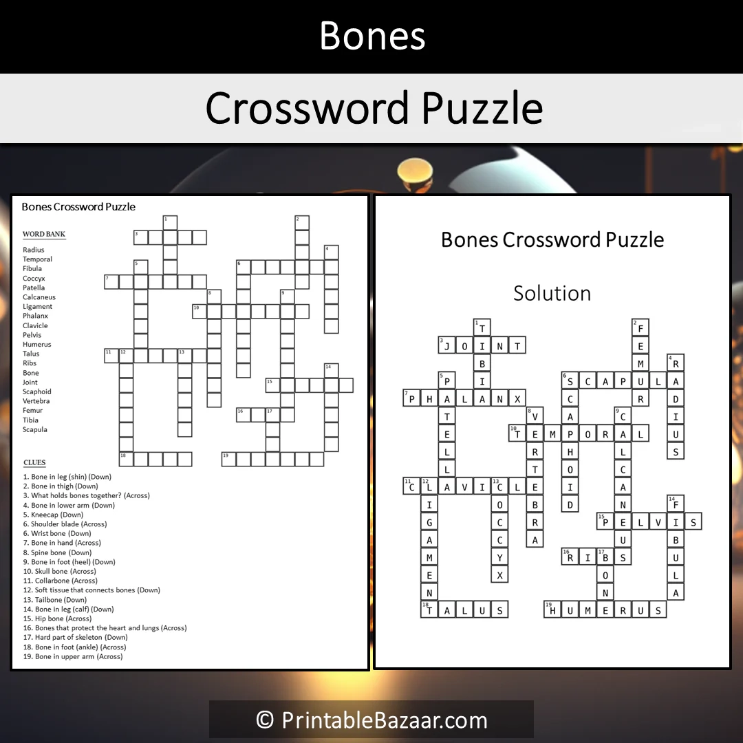 Bones Crossword Puzzle Worksheet Activity Printable PDF PrintableBazaar