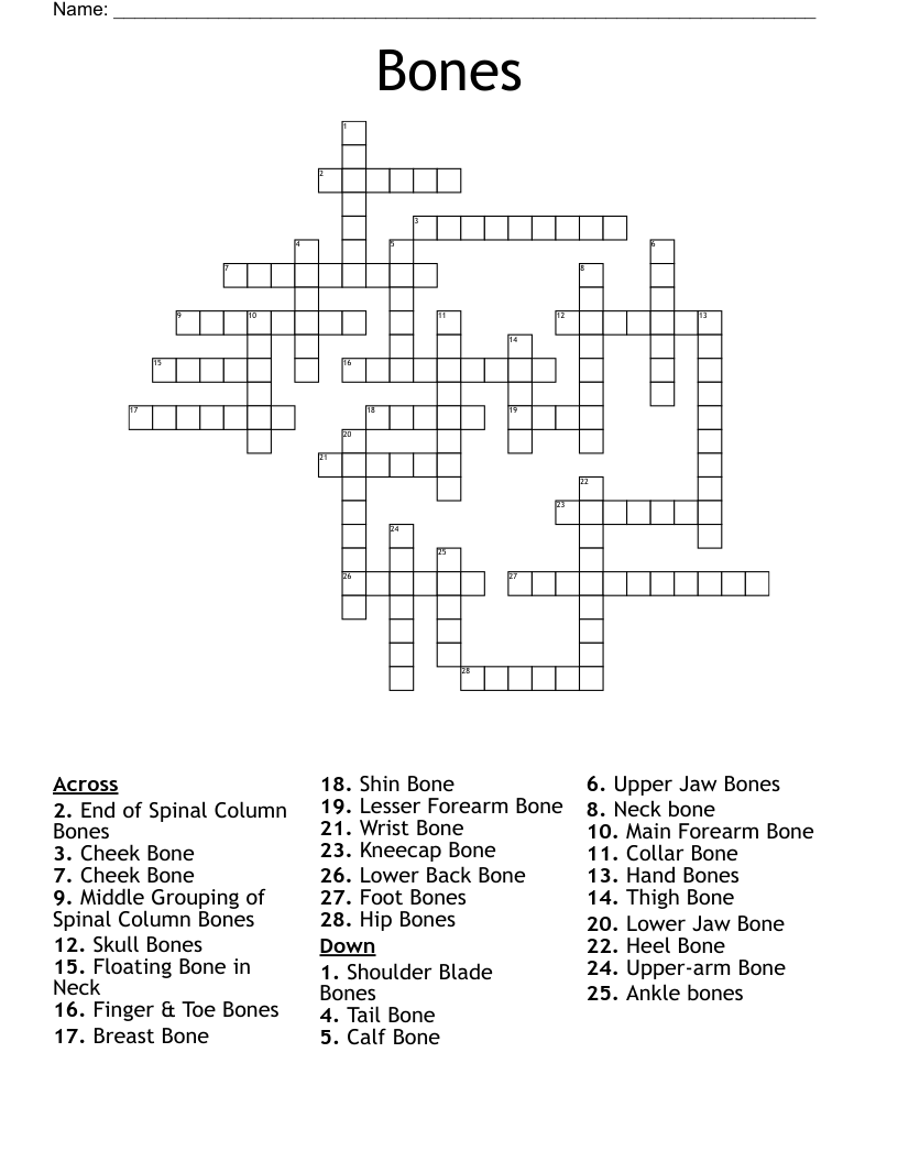 Bones Crossword WordMint