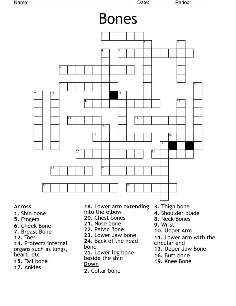 Bones Crossword WordMint