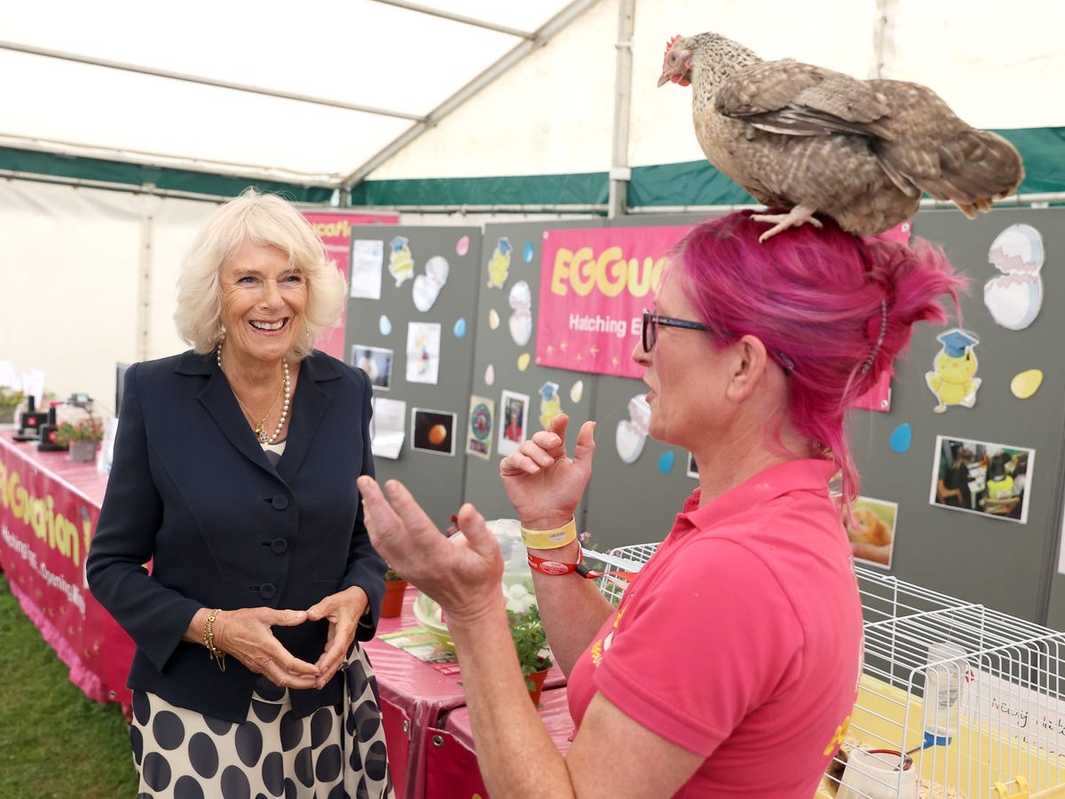 camilla and the chickens