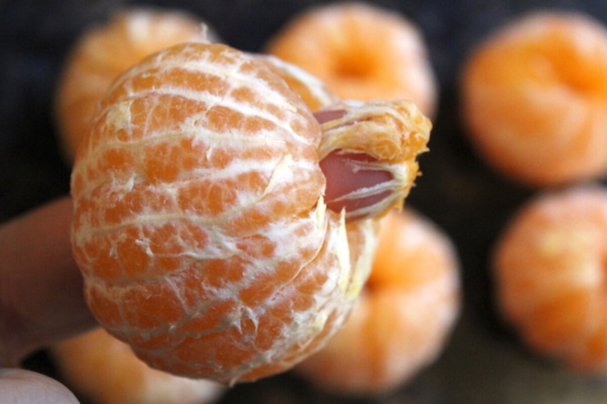 stringy parts of oranges