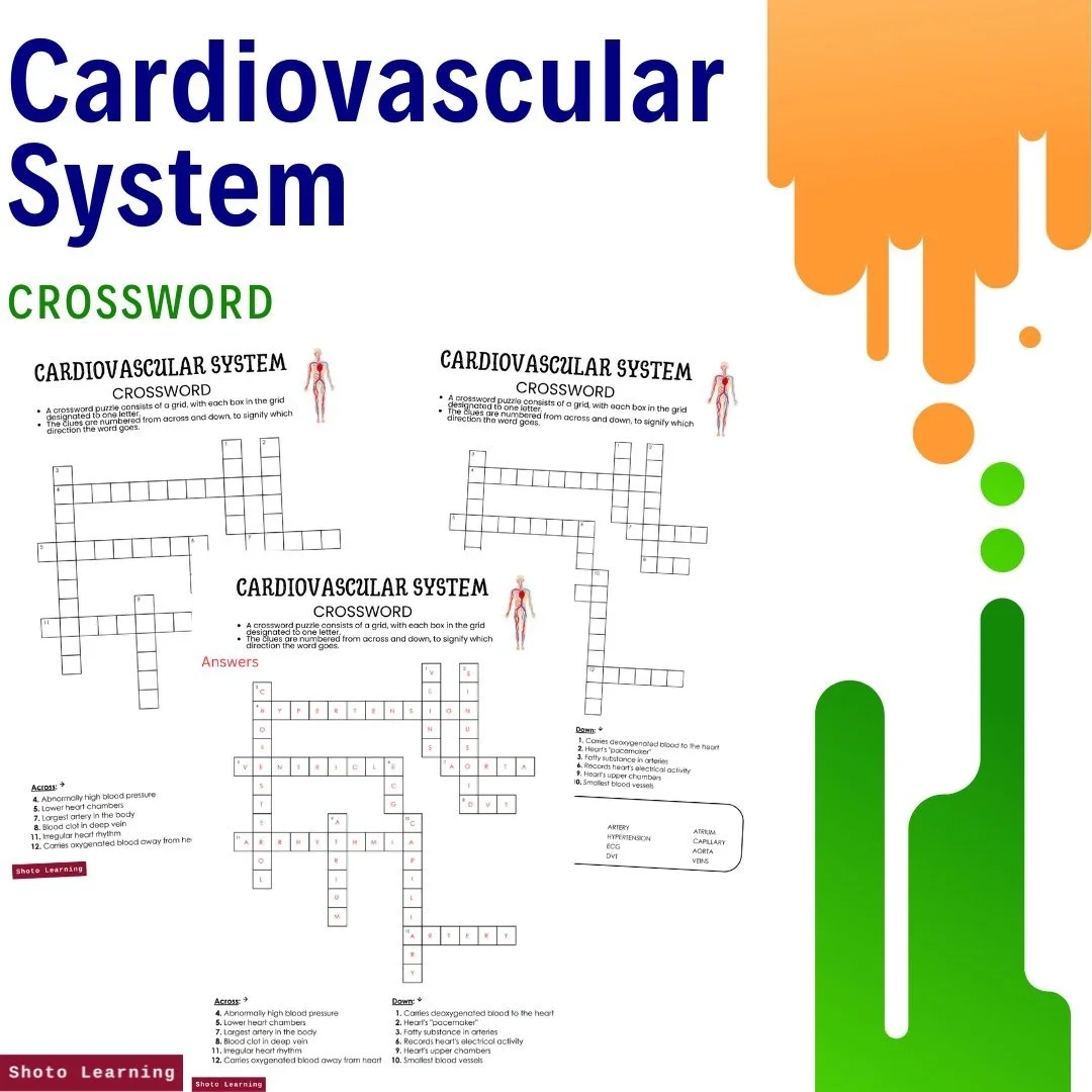 Cardiovascular System Crossword Learn About Hearts Arteries Cardiovascular System Crossword Learn About Hearts Arteries