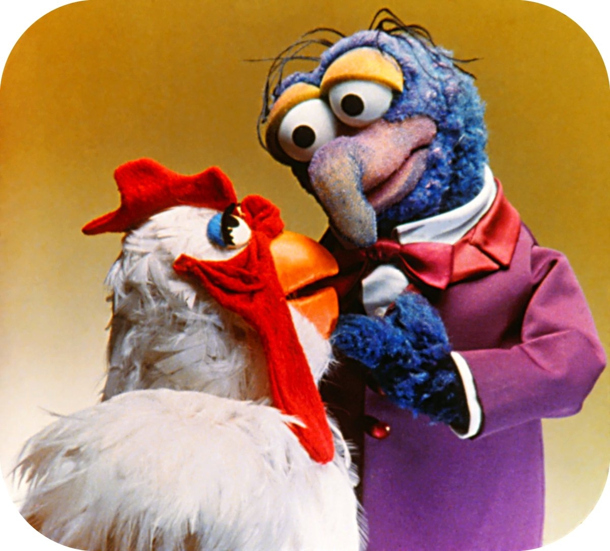 Celebrating Camilla The Chicken This Week TheMuppets70