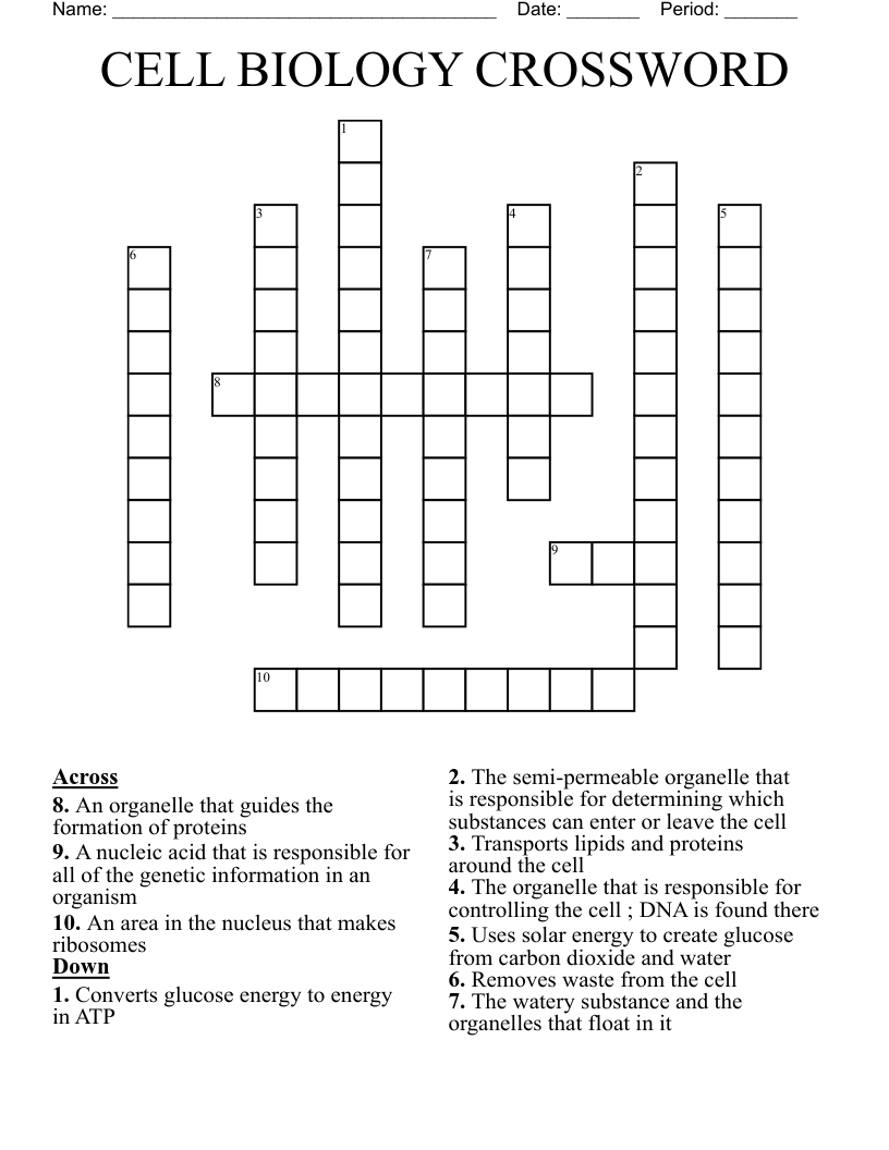 CELL BIOLOGY CROSSWORD WordMint