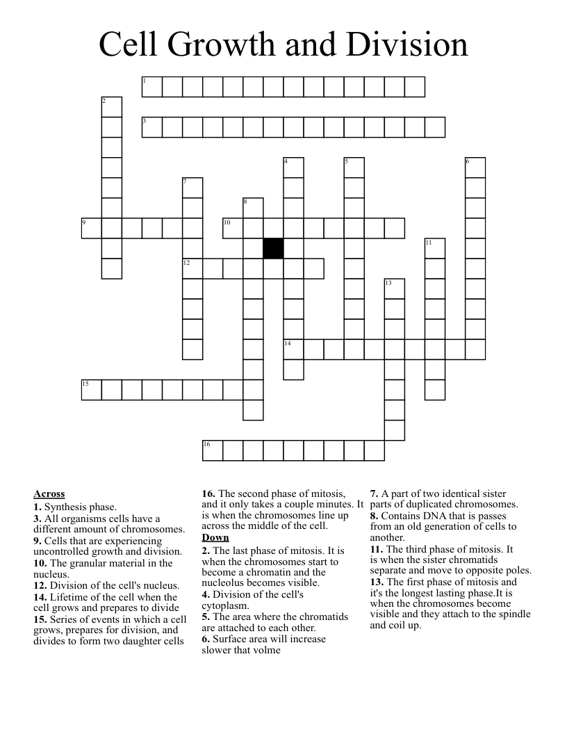 attach crossword clue