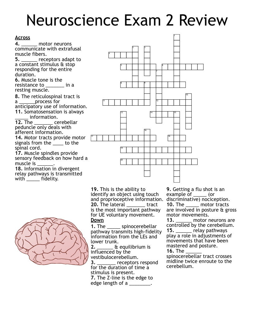 Ch 13 PNS Crossword Puzzle WordMint