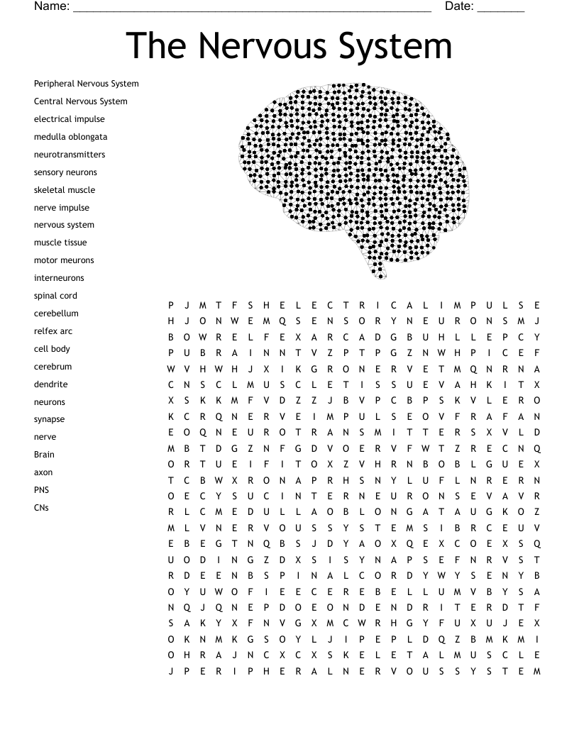 Ch 13 PNS Crossword Puzzle WordMint