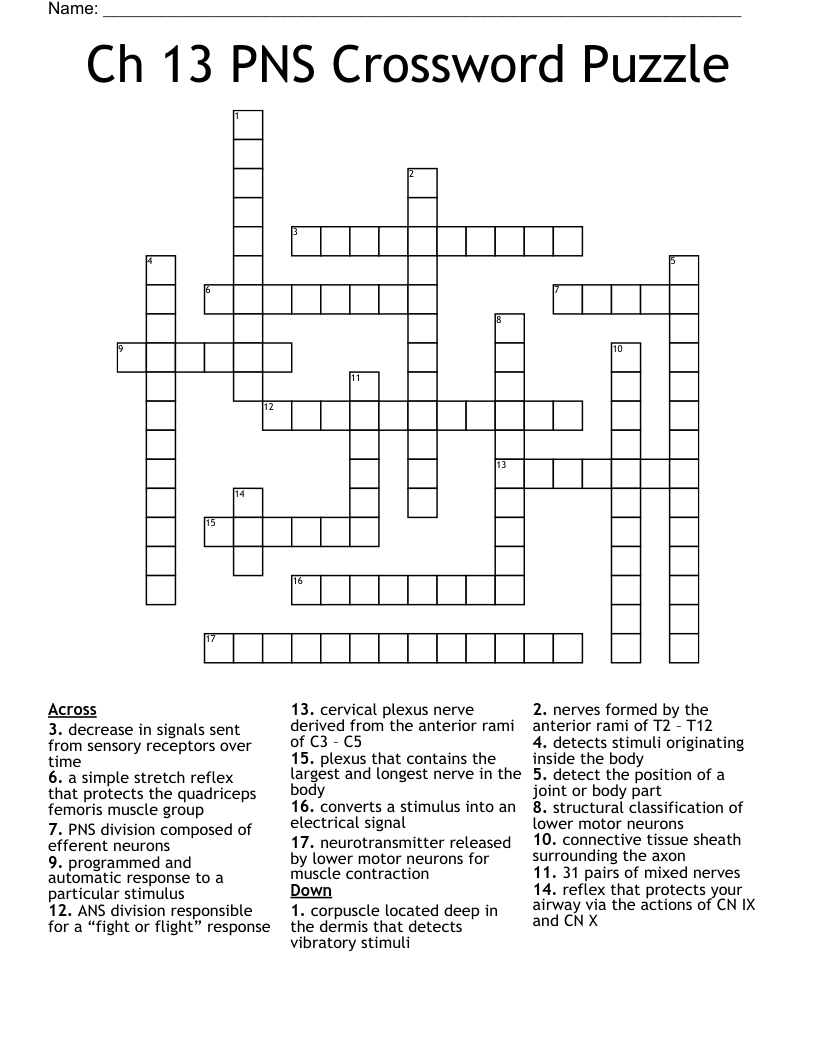 Ch 13 PNS Crossword Puzzle WordMint