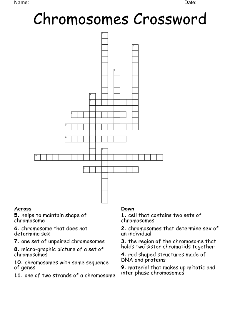 Chromosomes Crossword WordMint