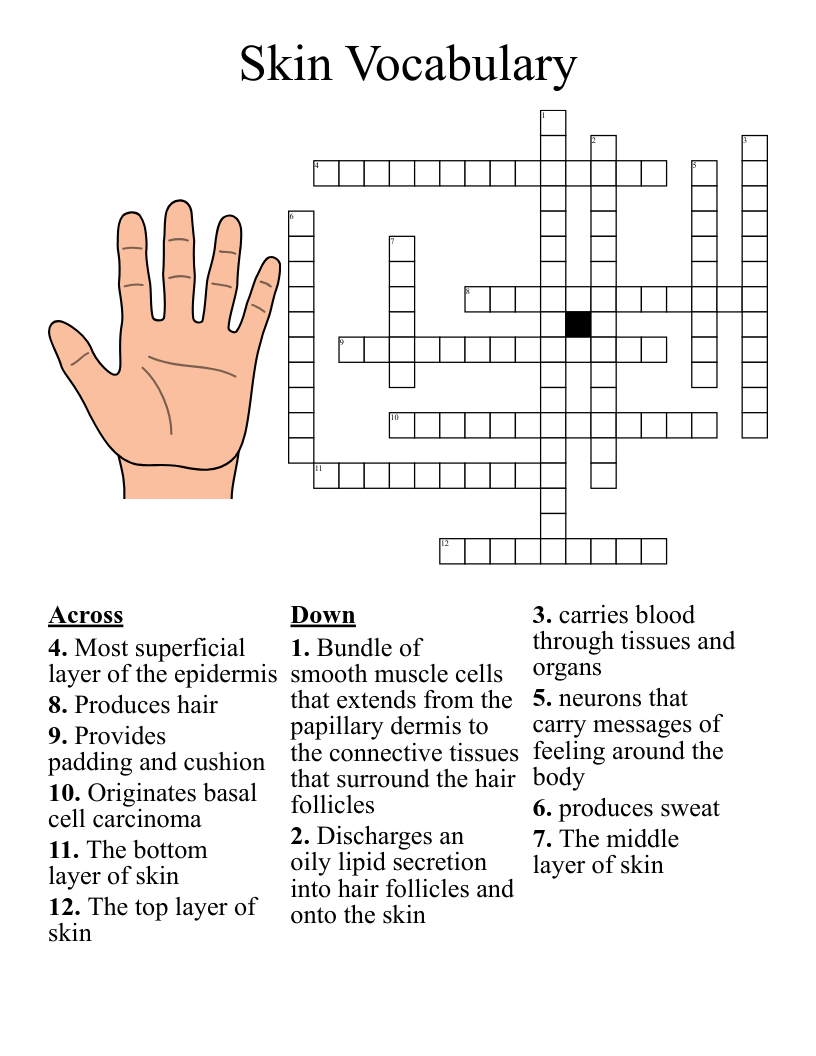 Connective Tissue Crossword WordMint