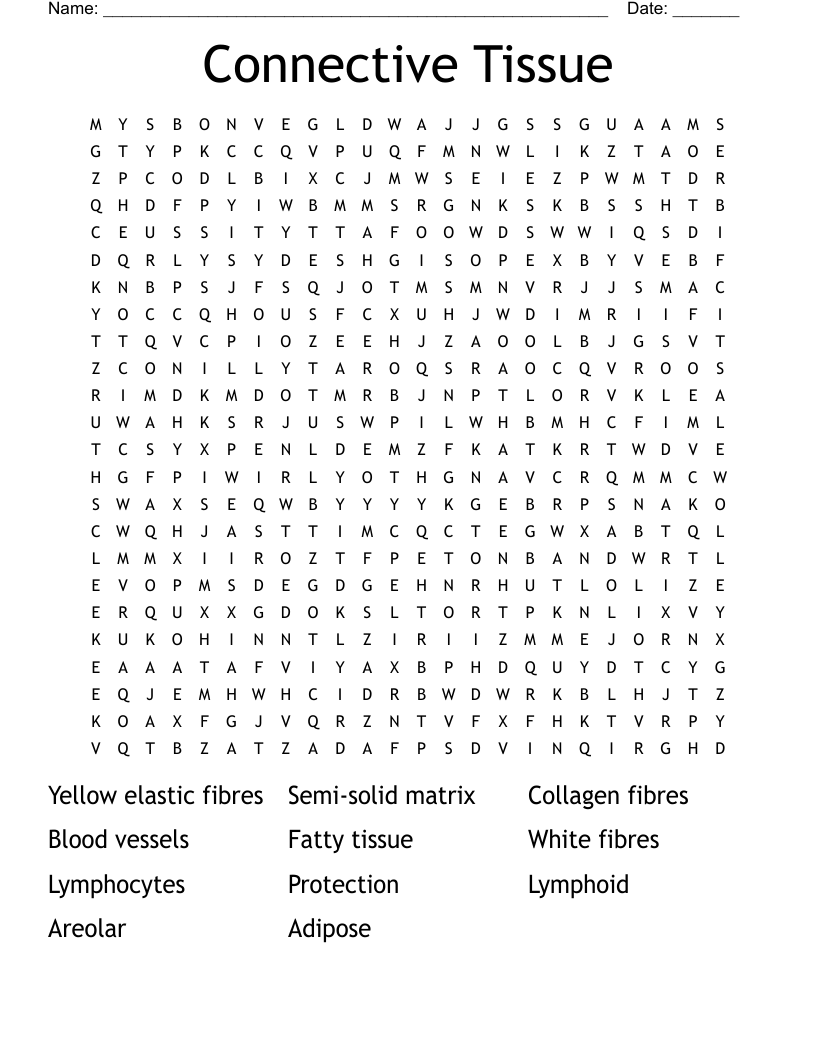 Connective Tissue Word Search WordMint