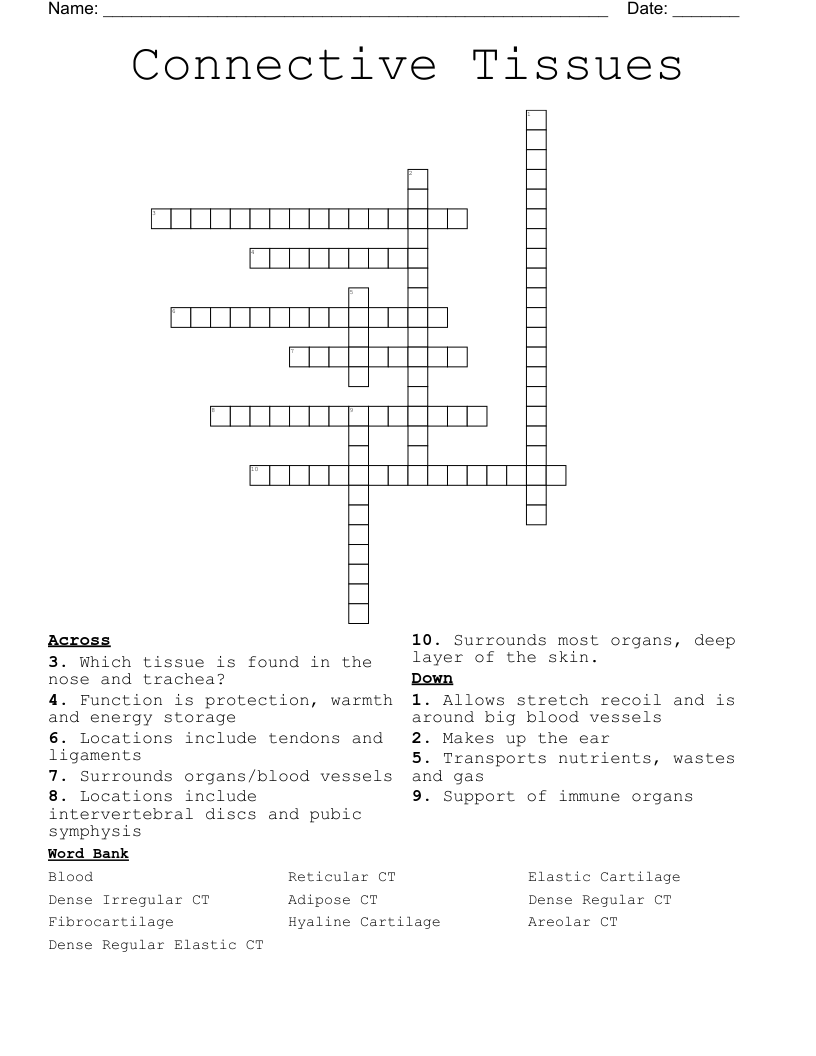 Connective Tissues Crossword WordMint