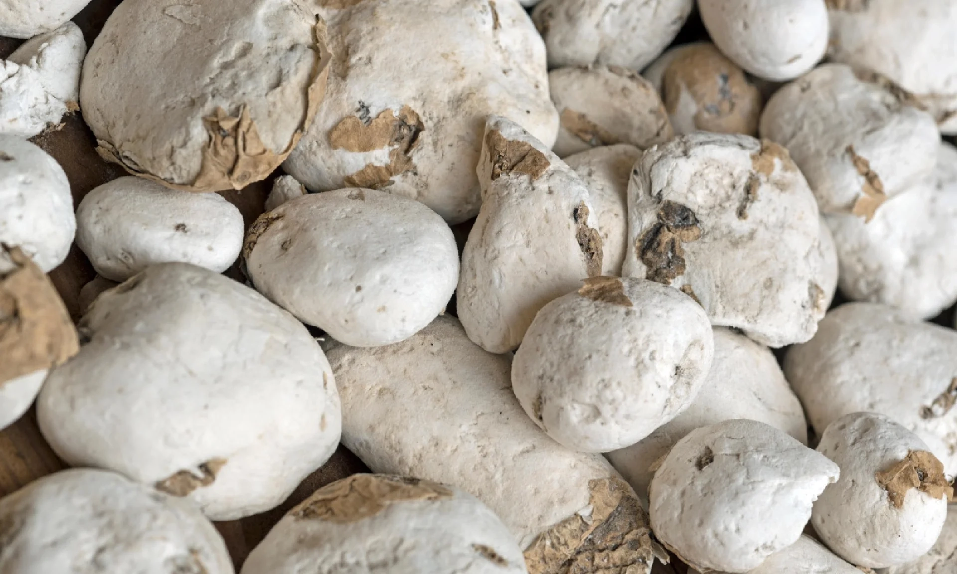 Cool Inventions How The Incas Gave Us Freeze drying Mayorga Coffee