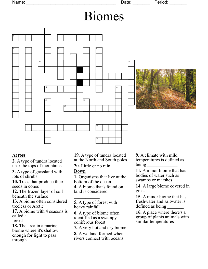 Desert Crossword WordMint Desert Crossword WordMint