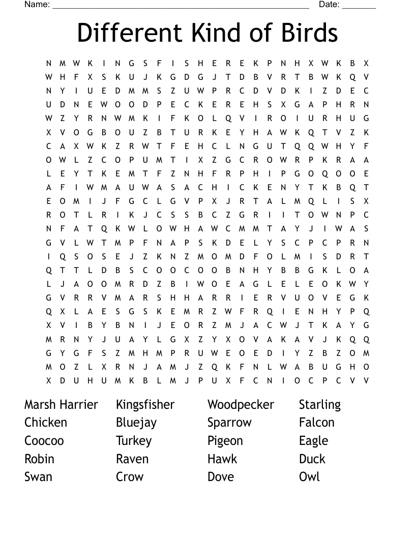 Different Kind Of Birds Word Search WordMint