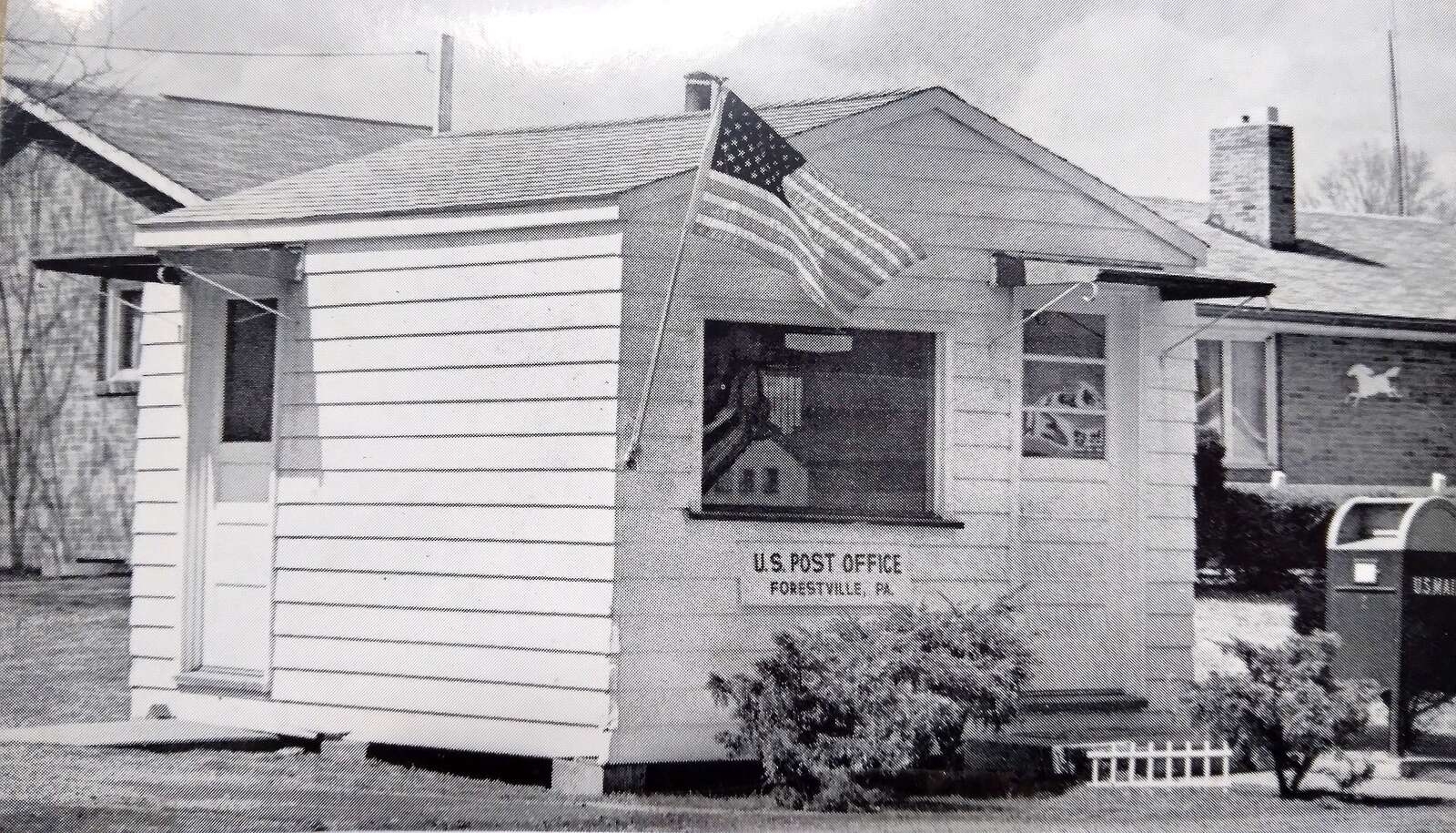 dont overlook this news letters crossword