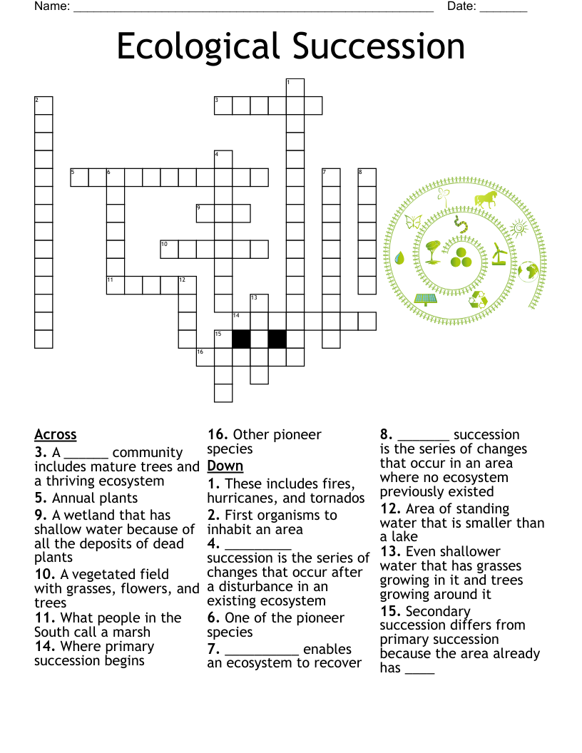 Ecological Succession Crossword WordMint