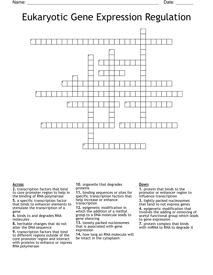 Eukaryotic Gene Expression Regulation Crossword WordMint