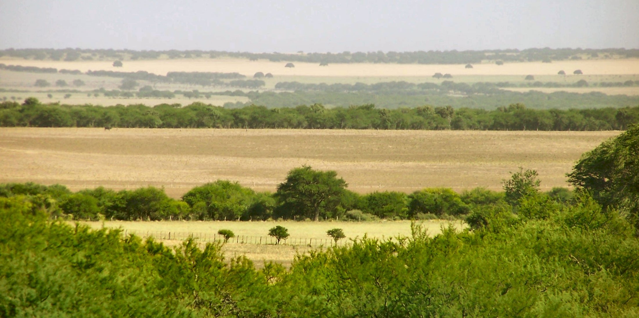 Expanding Agriculture Could Worsen Flooding In South American Plains Study Says