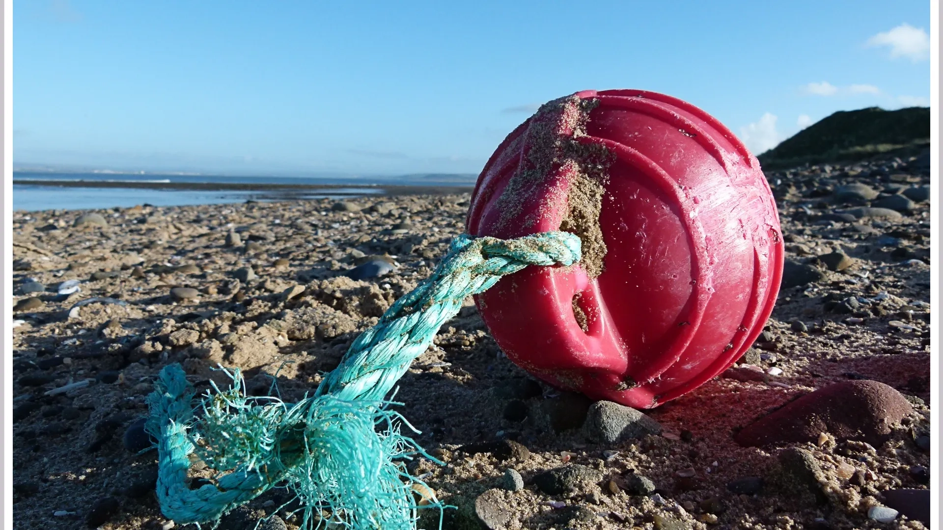 F Is For Flotsam Jessica s Nature Blog F Is For Flotsam Jessica s Nature Blog