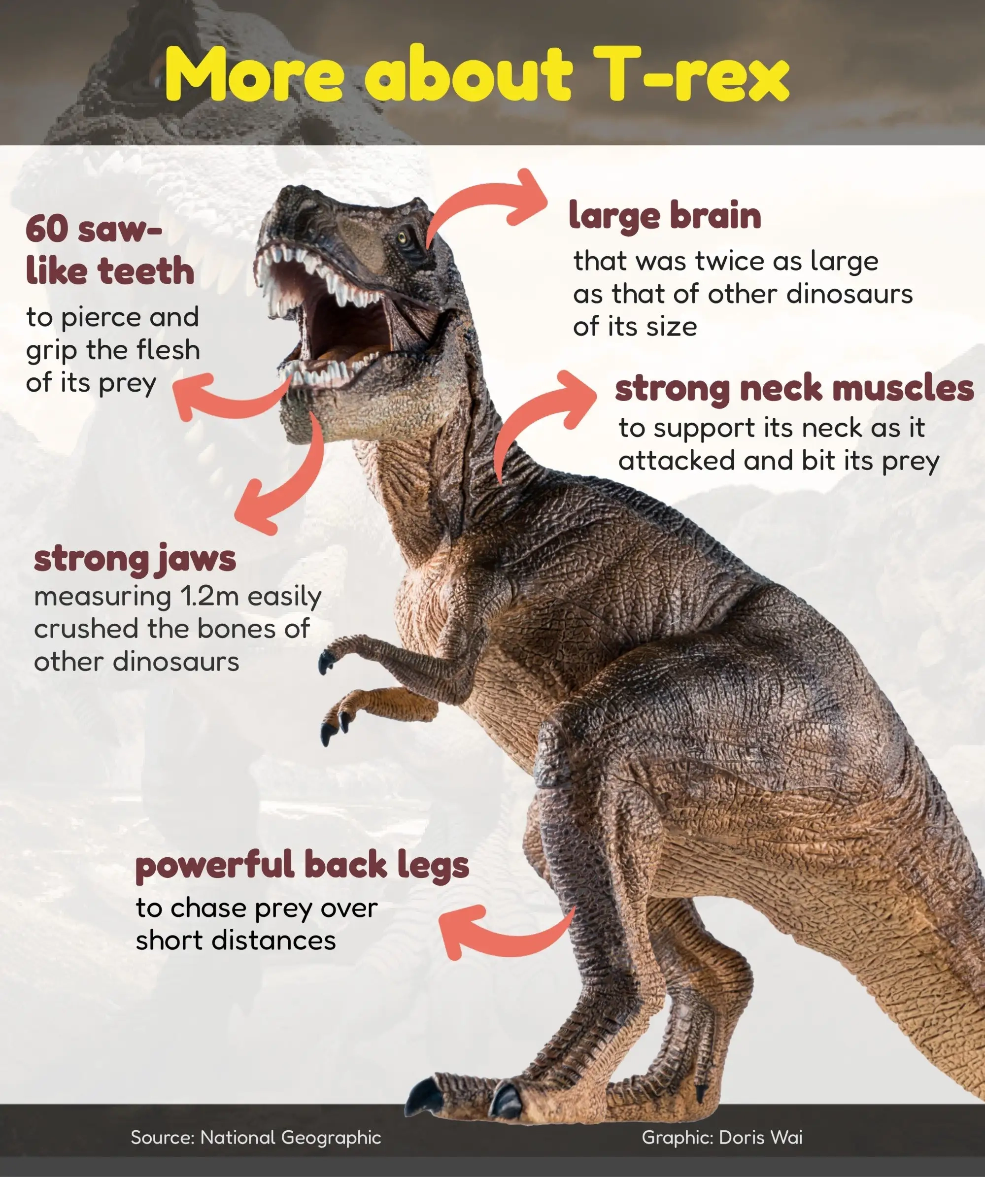 Facts About The T Rex King Of The Tyrant Lizards Young Post Club
