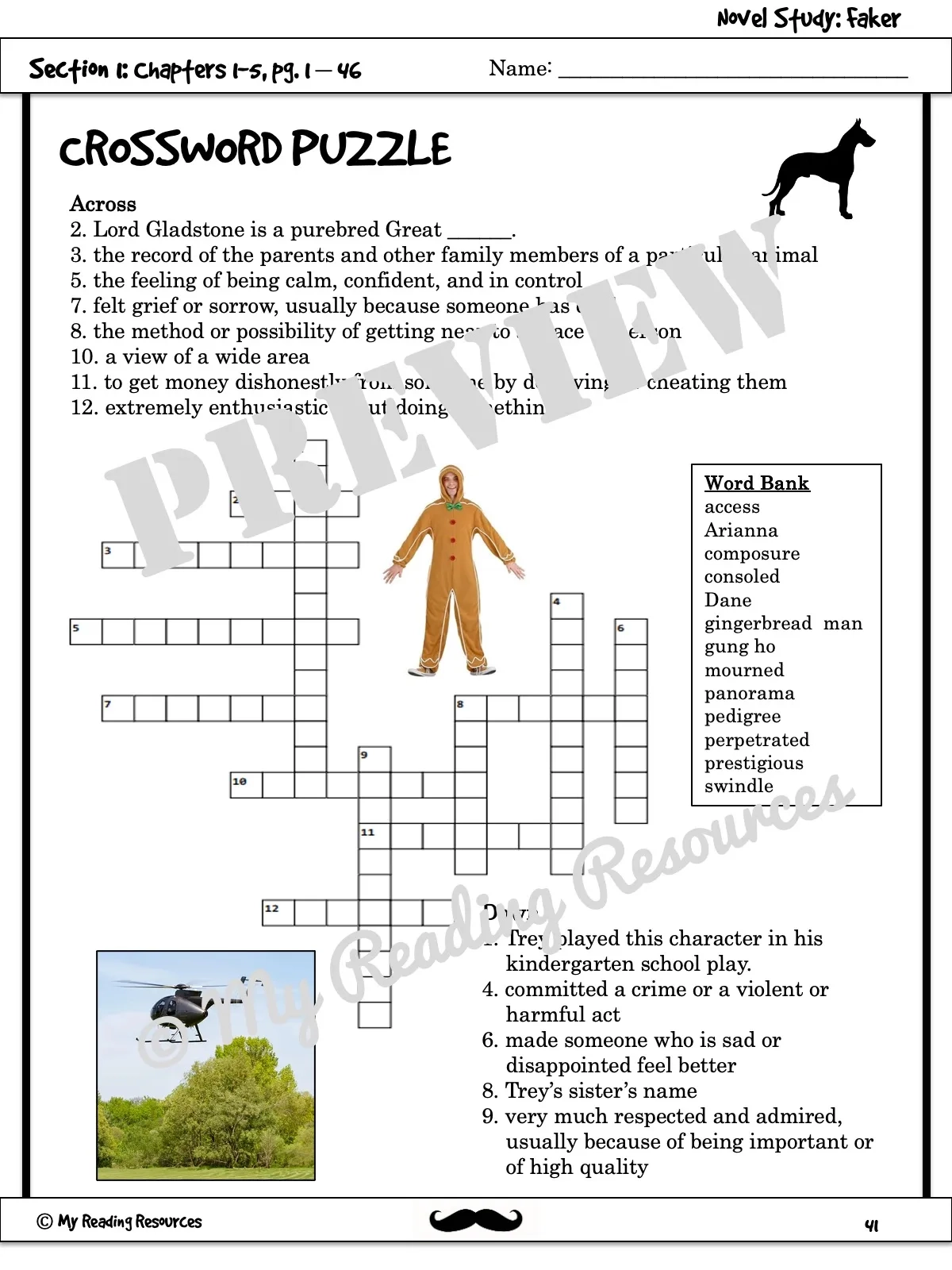 Faker Novel Study My Reading Resources