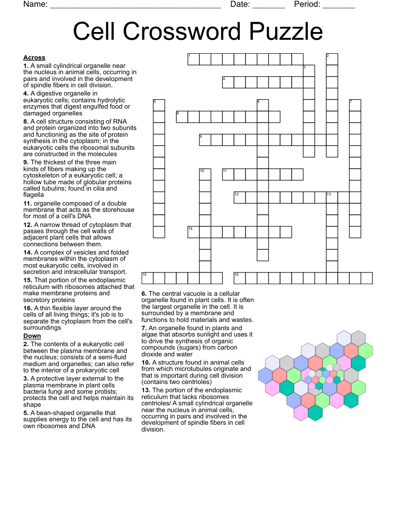 Fibers Crossword WordMint