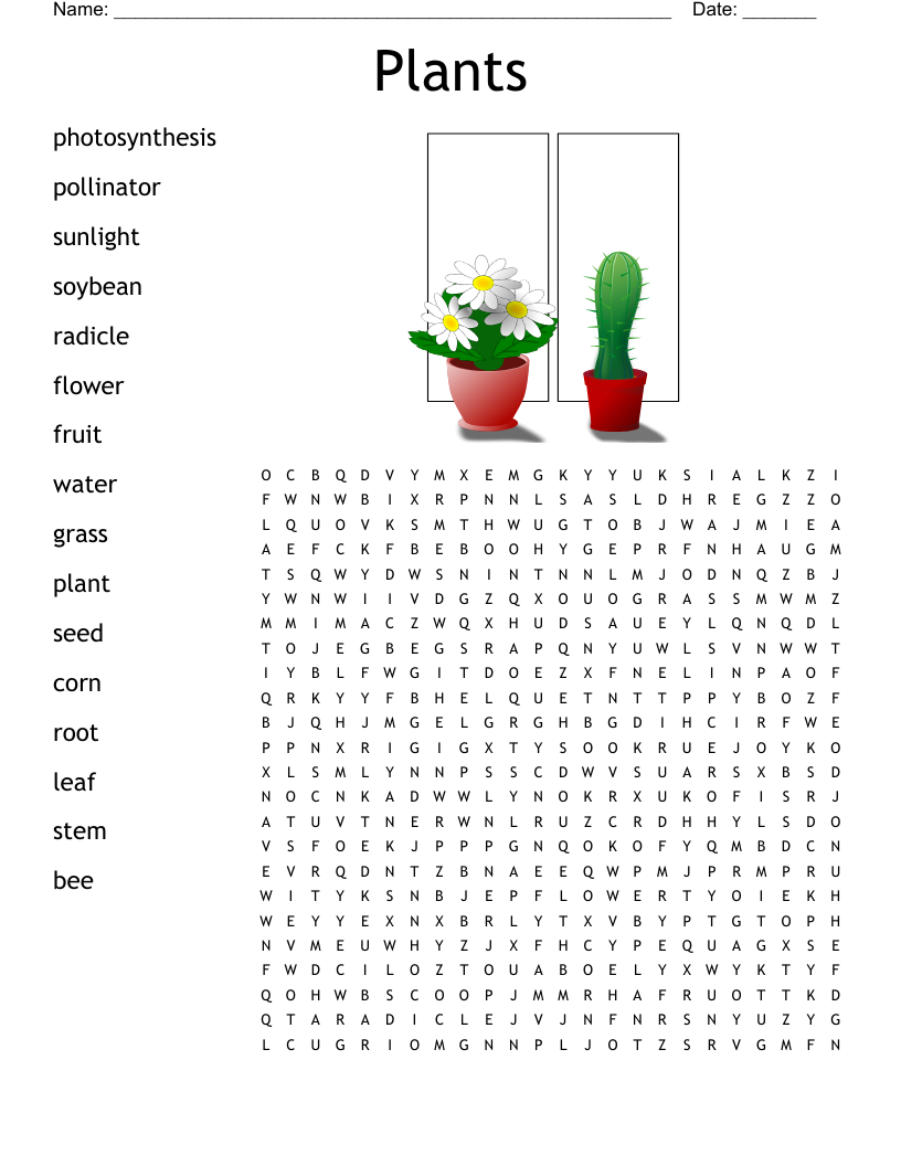 Flowering Seed Plants Crossword WordMint